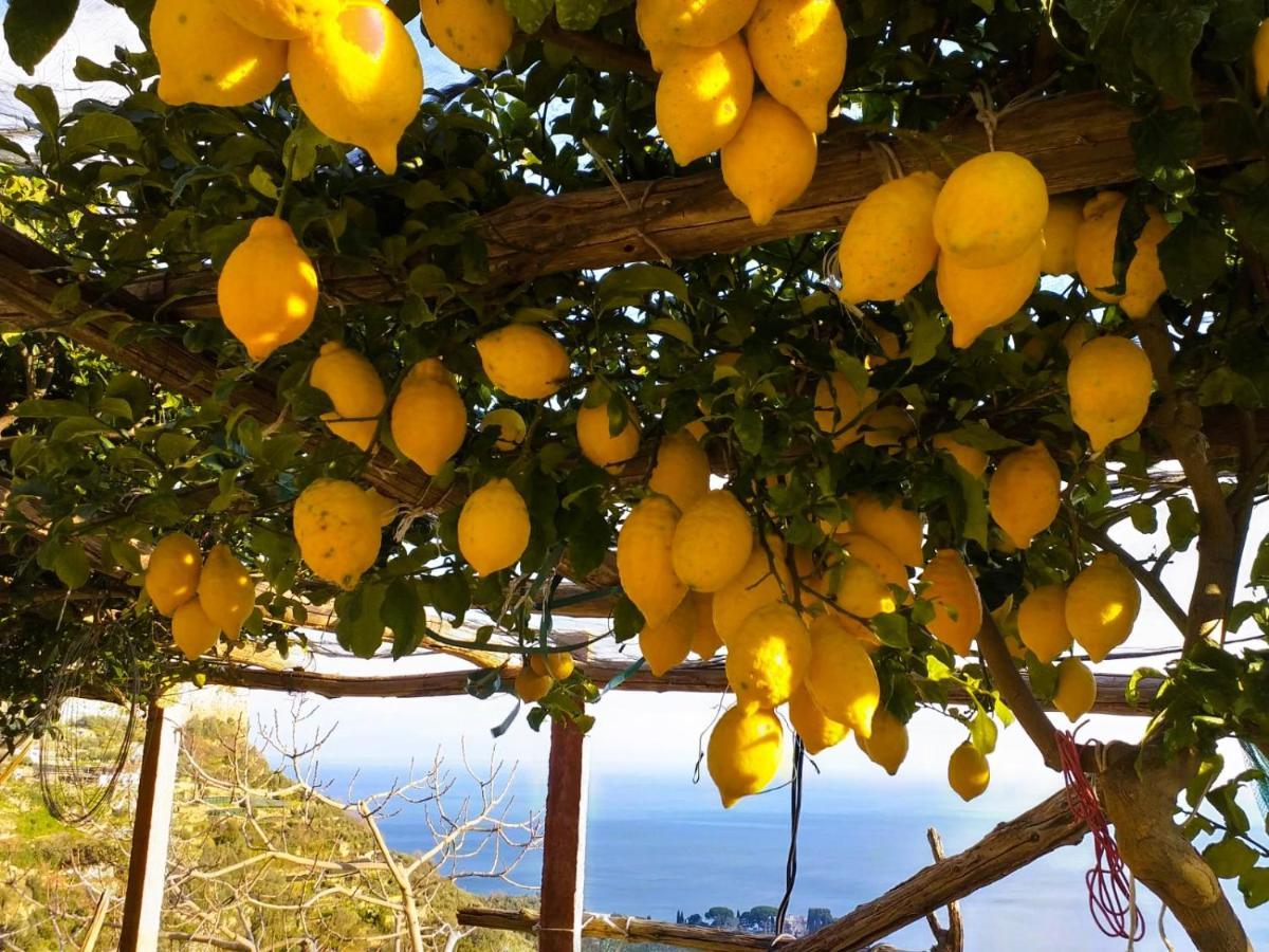 Amalfi Sea View Villa Scala Luaran gambar